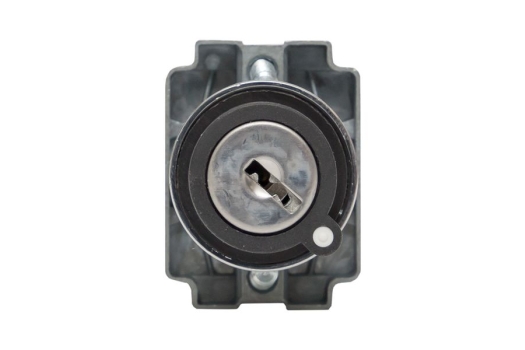Переключатель BG61 2P с замком возвратный NO EKF PROxima
